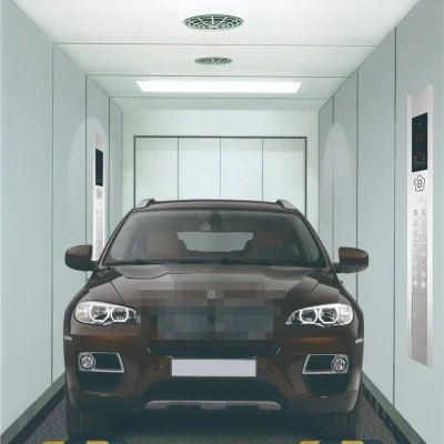 Cargo-Elevator Cargo-Elevator