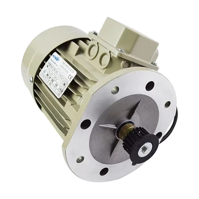 Modern Hotel Elevator Door Parts Motor MS7126/B5 Durable